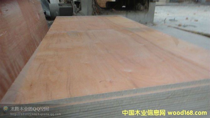 ������Ԕ����B