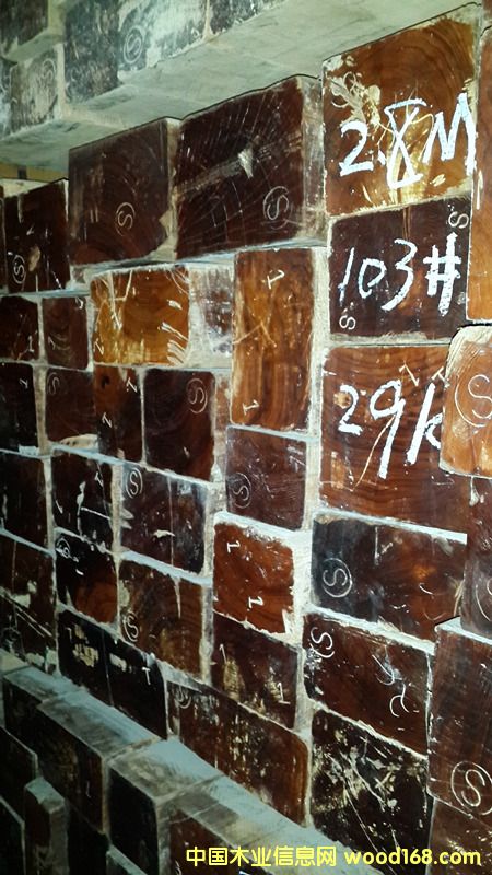 ������ľ���¾��l�ϵ�Ԕ��(x��)��B