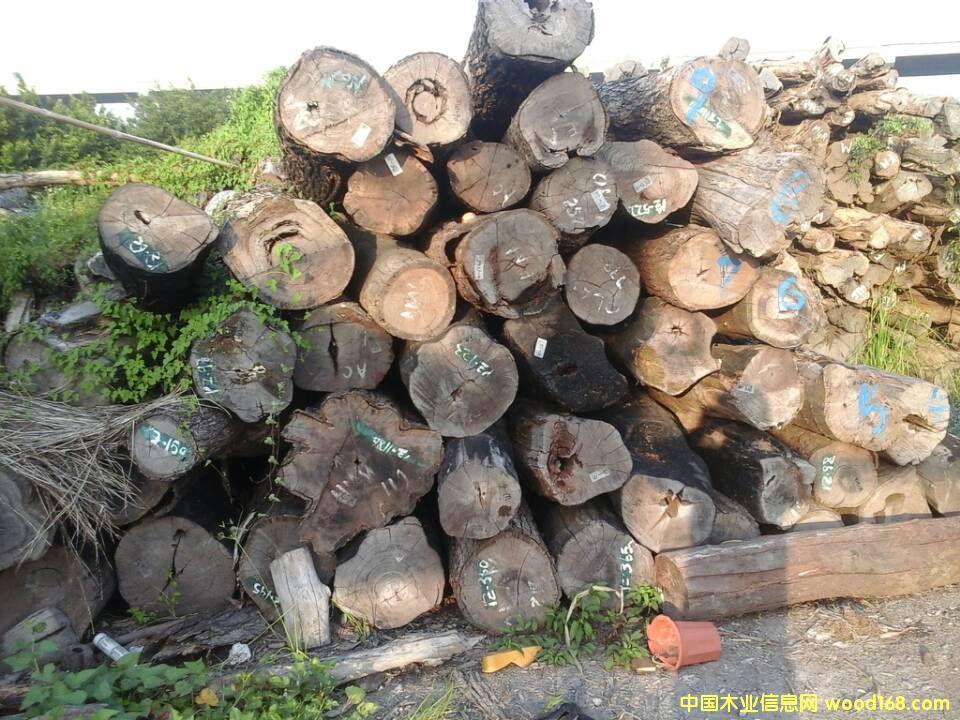 Īٝ�ȿ�С�~�t̴