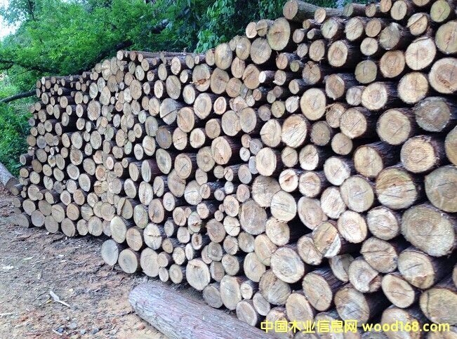  ɼ��(sh��)�Aľ��Ԕ��(x��)��B