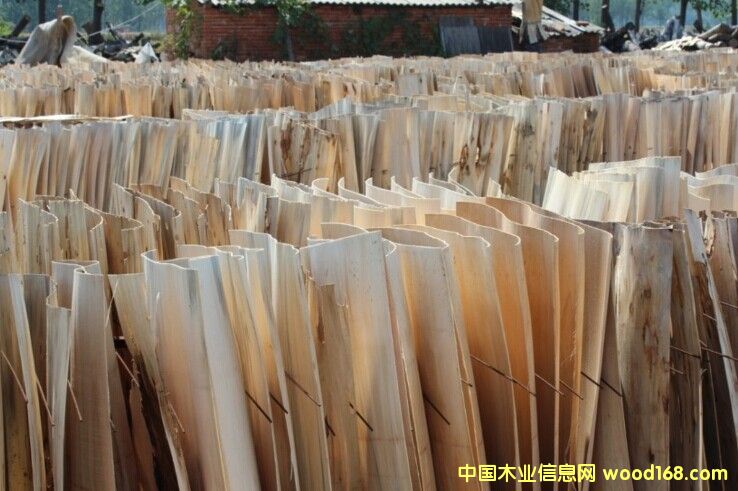 ���o���Ԕ��(x��)��B