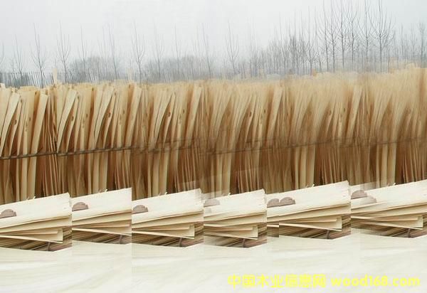 �ؼ���ľ�ΰ��Ԕ��(x��)��B