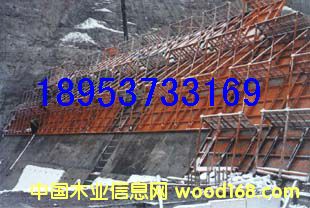 �۹����\�ģ�� ��ˮ��ˮ��ģ��