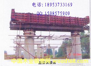 �w����T�͘���ģ��������ģ����Y�Ͷ������A����