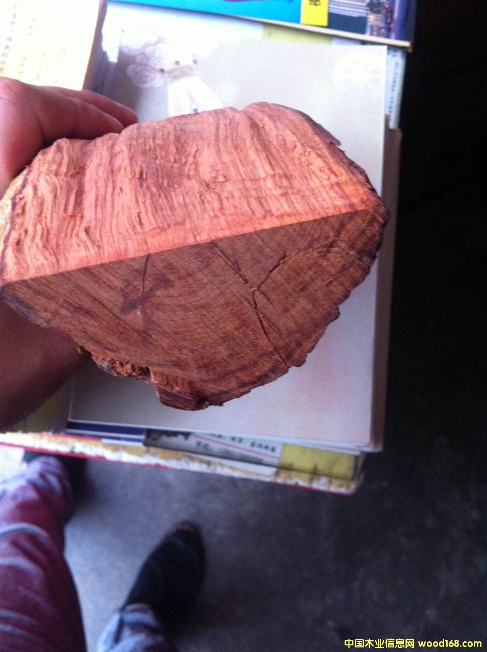 �ϓ�ݻ����Ԕ��(x��)��B