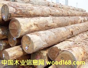 ����(y��ng)���黨��ľԭľ���tľԭľ����ڏ�ԭľ�����飩