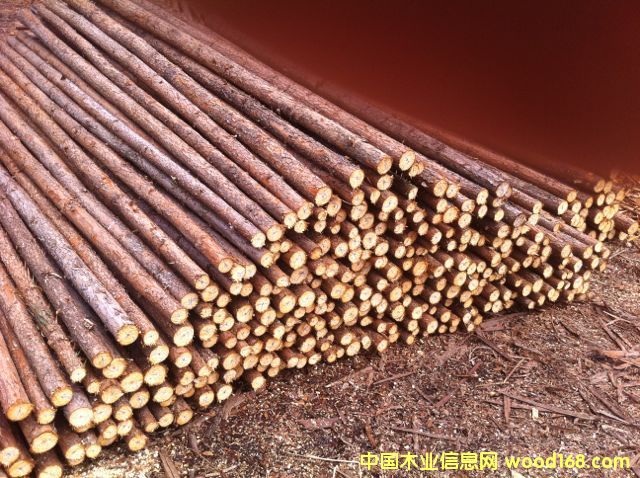 杉原木的詳細介紹