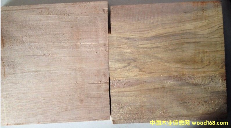 ��ľ���¼t���ң�����Ԕ����B