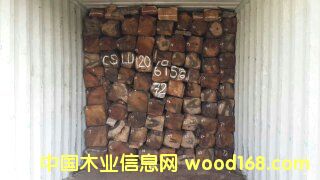 ���������������Ԕ��(x��)��B