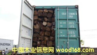 ���������������Ԕ��(x��)��B