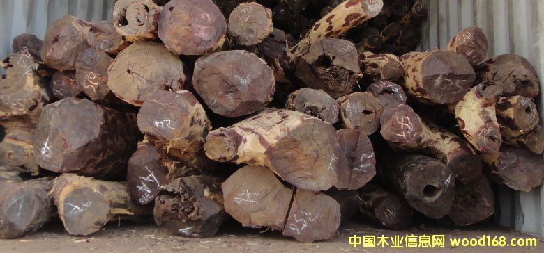 血檀的詳細(xì)介紹