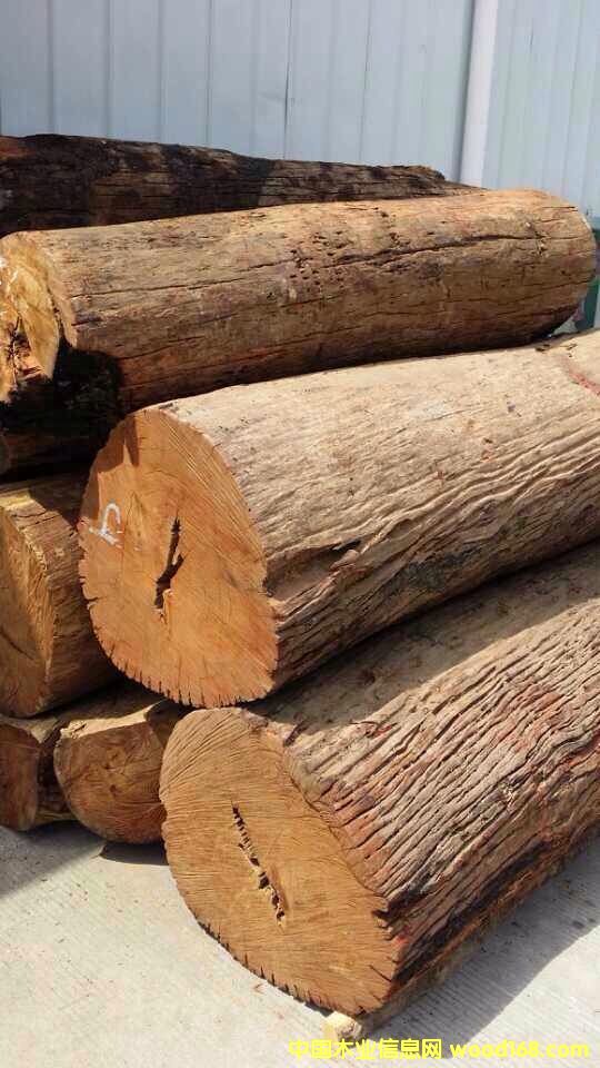 ���黨���Ԕ����B