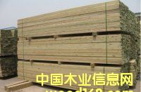 芬蘭木的詳細(xì)介紹