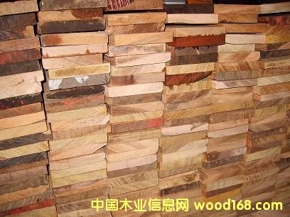 菠蘿格的詳細(xì)介紹