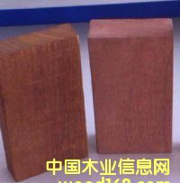 欖仁木 的詳細(xì)介紹