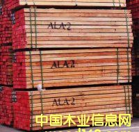 柳桉木的詳細(xì)介紹