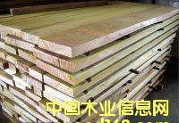 山樟木的詳細(xì)介紹