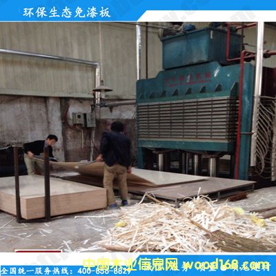 ������Ԕ����B