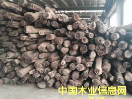 Ѫ̴��Ԕ��(x��)��B