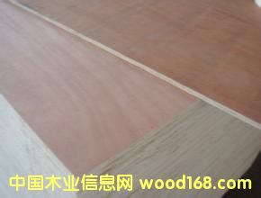 ���������Ԕ��(x��)��B