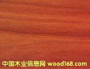 ���B(t��i)�屳���Ԕ��(x��)��B