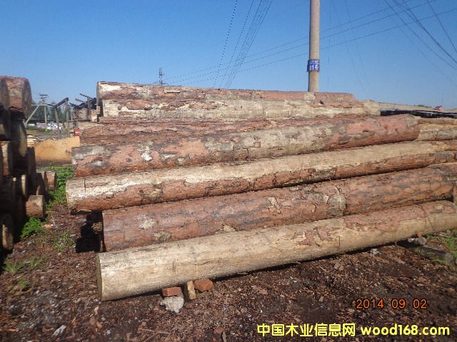 ���ɰ�ĵ�Ԕ��(x��)��B