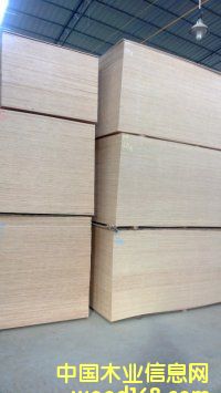 ��ľ���b���Ӱ��Ԕ��(x��)��B