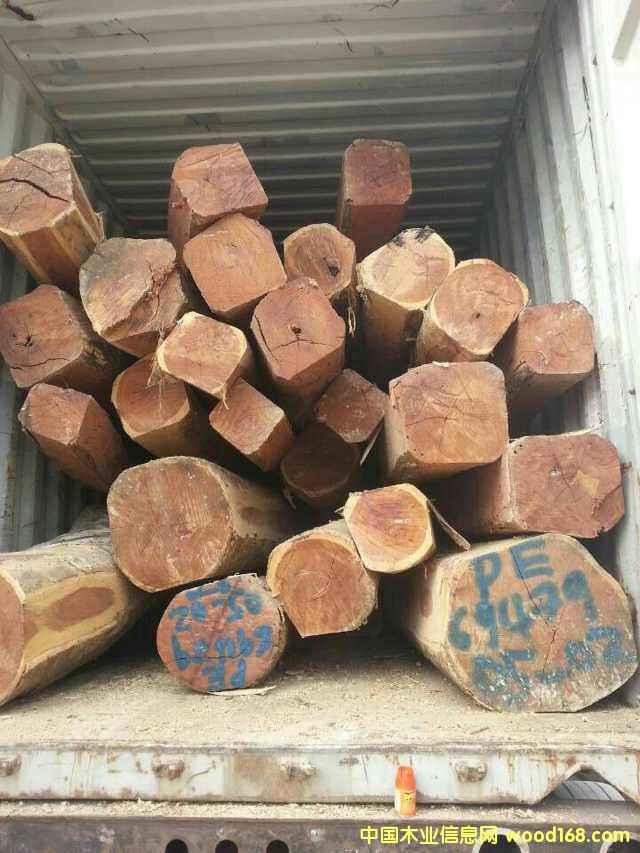 �t̴�㣨��֬ľ����