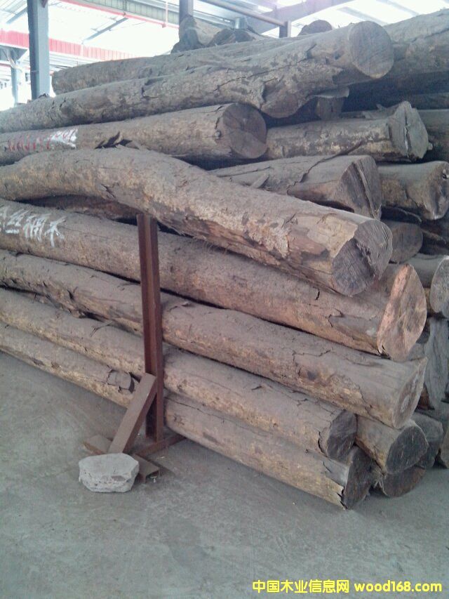 ��z�ľ��Ԕ����B