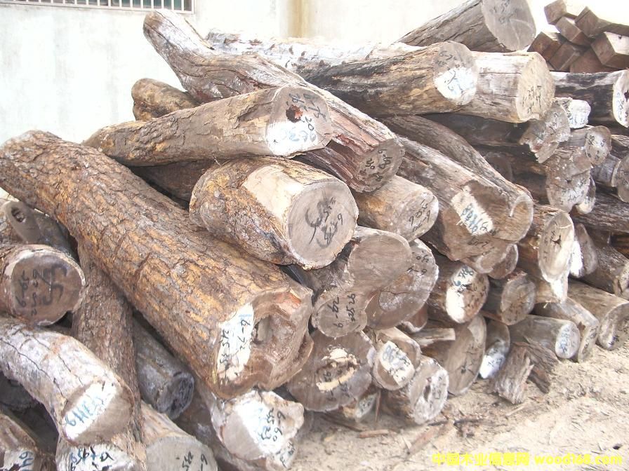 С�~�t̴��Ԕ����B