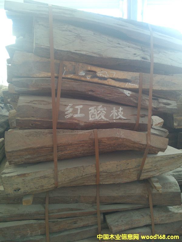 �ϓ��t��֦��Ԕ����B