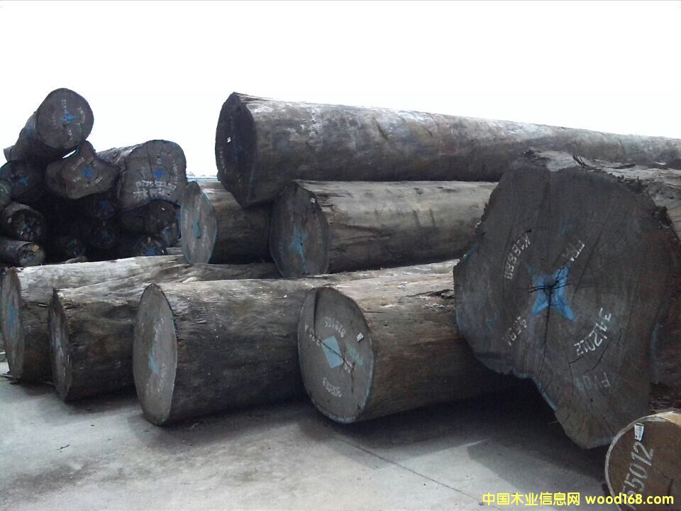 ��������ľ����Ԕ��(x��)��B