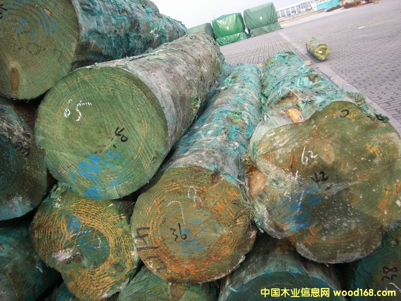 �����mݗ���ɵ�Ԕ��(x��)��B