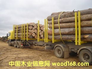 ��������֦�c���޵���֦�ǂ��M(j��n)�ڷ���һЩ�M(j��n)�ڈ��P(gu��n)����