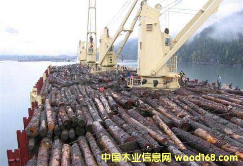 �M(j��n)��ľ�����п��\(y��n)����ʲôҪ������M(j��n)���M(j��n)�ڈ�(b��o)�P(gu��n)����