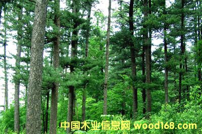 ��(ji��n)Ҫ������(zhu��n)�I(y��)�M(j��n)�ڼҾ߈�(b��o)�P(gu��n)��(b��o)�z�����Ϻ��C(j��)��(ch��ng)��(b��o)�P(gu��n)��