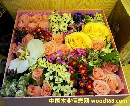 �M�ں��m���߲�õ����Ҫ��Щ���C�����Ϻ��C�����P��