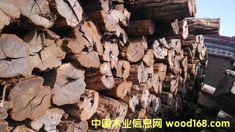 ��ľ��Ԕ��(x��)��B