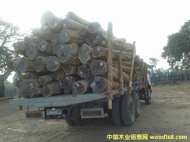 �Ϲ�̴���|�Ǻ��S̴����ľ��Ԕ����B