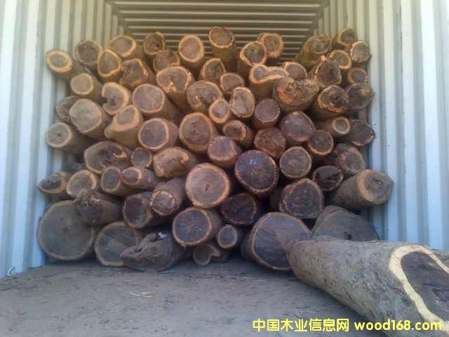 ٝ�ȁ�Ѫ̴��Ԕ����B