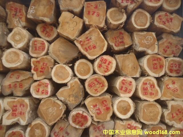 ������ľ��Ԕ��(x��)��B