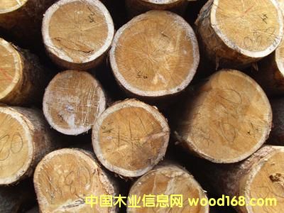 ����鲘�ԭľ