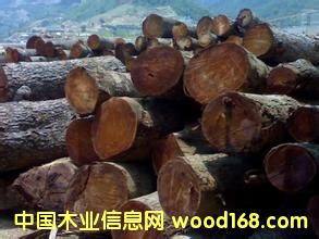 ������ɏľԭľ