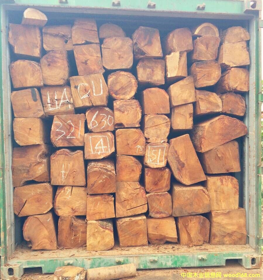 һ�ֹ���(y��ng)���ށ����棨�����̴����Ԕ��(x��)��B