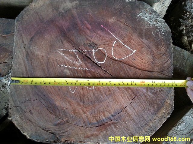 �B����̴��Ԕ����B