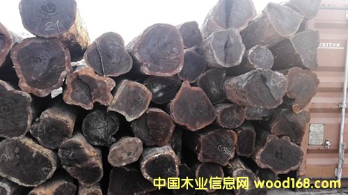 ������֦�������Kľ����̴ţ��ľ