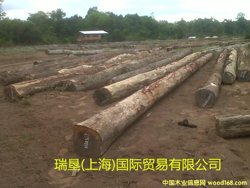 南美酸枝的詳細(xì)介紹