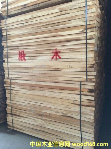 楸木的詳細(xì)介紹