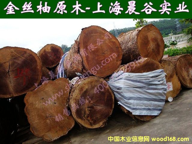 ��ľ��Ԕ��(x��)��B