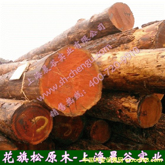 �����ɵ�Ԕ��(x��)��B